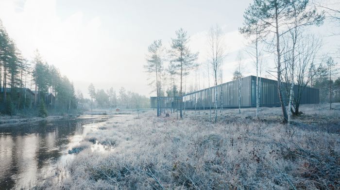 Prosjekt_PigaPuken_Illustrasjon